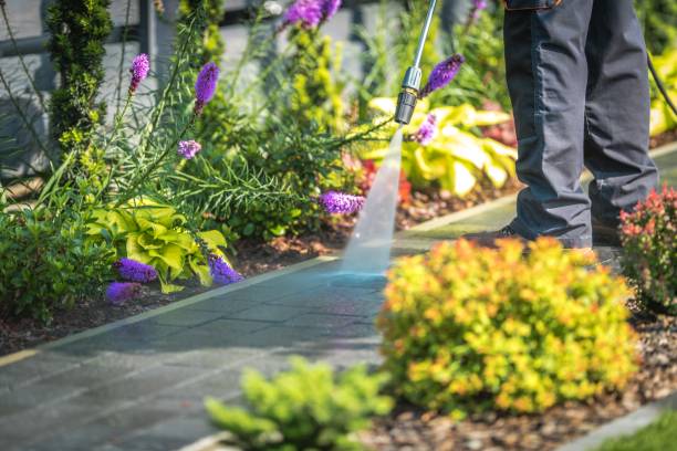 Best Driveway Pressure Washing  in Leisuretowne, NJ